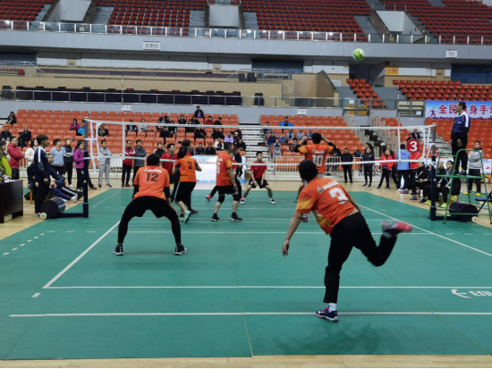 “丰农杯”2020年湖南省体育场馆联盟气排球比赛圆满闭幕！