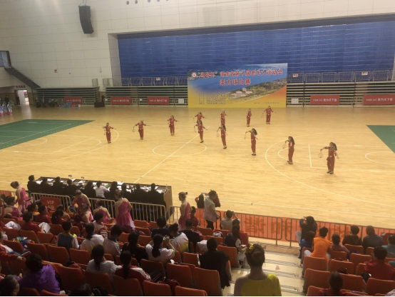 “湘窖杯”湖南省第十届老年人运动会柔力球比赛在邵阳火热举办！