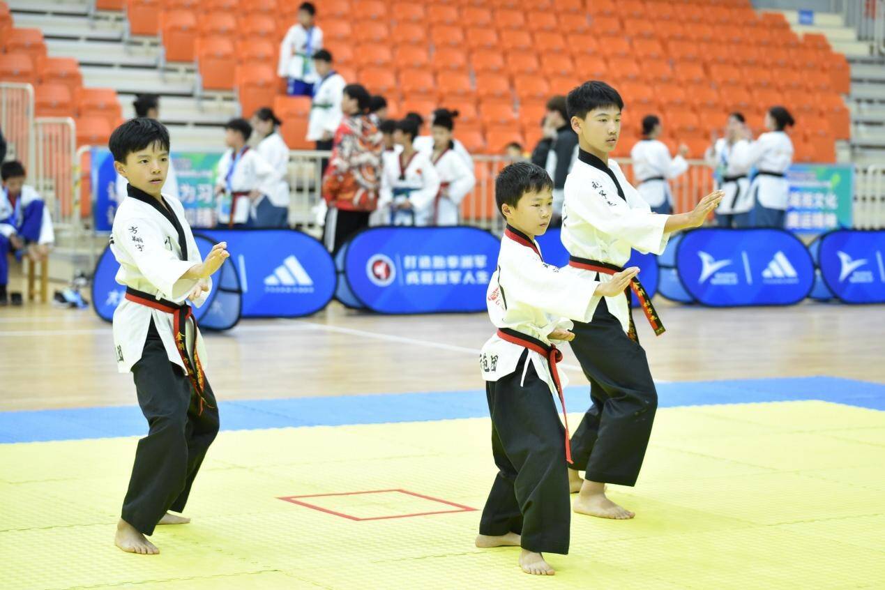 2023年湖南省跆拳道品势公开赛 三百跆拳少年竞逐邵阳